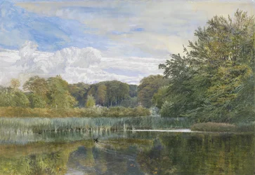 A malomtó, Evelyn Woods, 1860